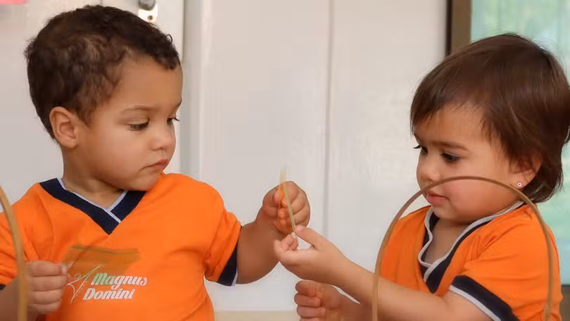 Educação Infantil e Recursos Didáticos